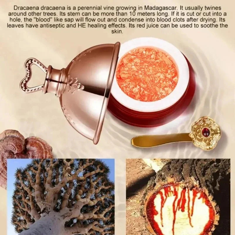 Dragon'S Blood Retinol Placenta Essence Brightening Lift Firming Cream - Korean Skincare with Retinol, Placenta & Vitamin E, Medium Coverage Moisturizing Face Cream for Dark Spots, Wrinkles, Fine Lines - Non-Greasy Formula, 0